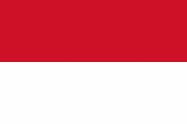 Indonesia tourist visa assistance1