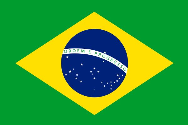 Brazil visa assitance