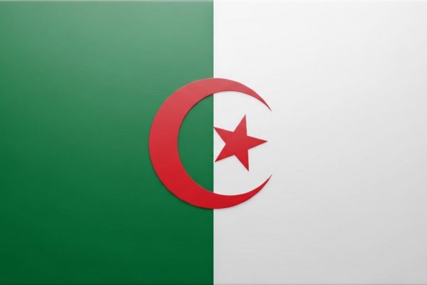 algeria vsa assistance
